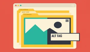alt image
